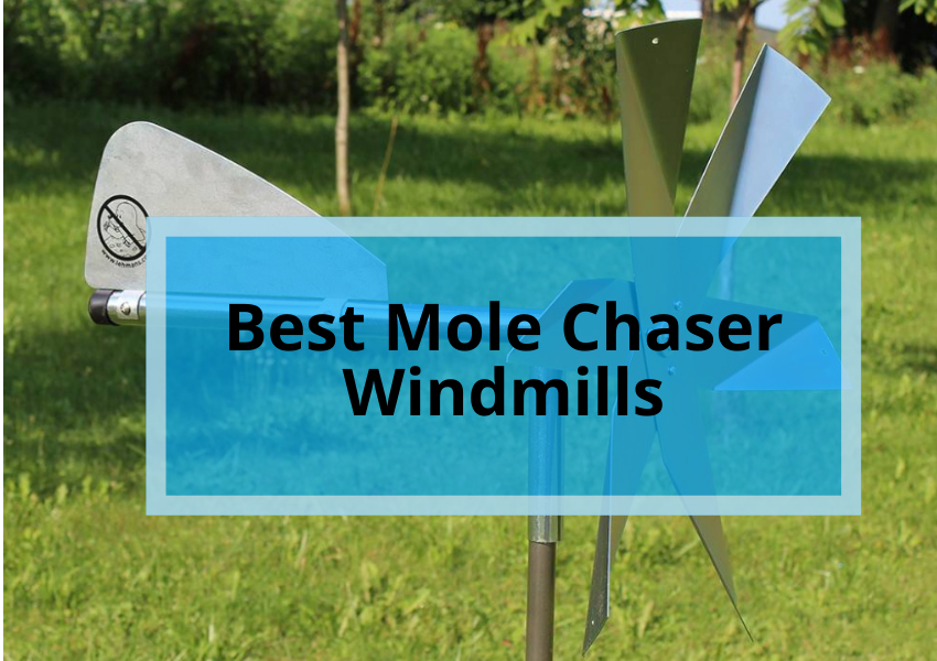Best Mole Chaser Windmills