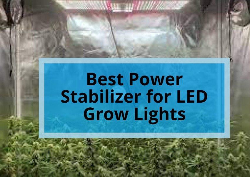 Best Power Stabilizer for LED Grow Lights