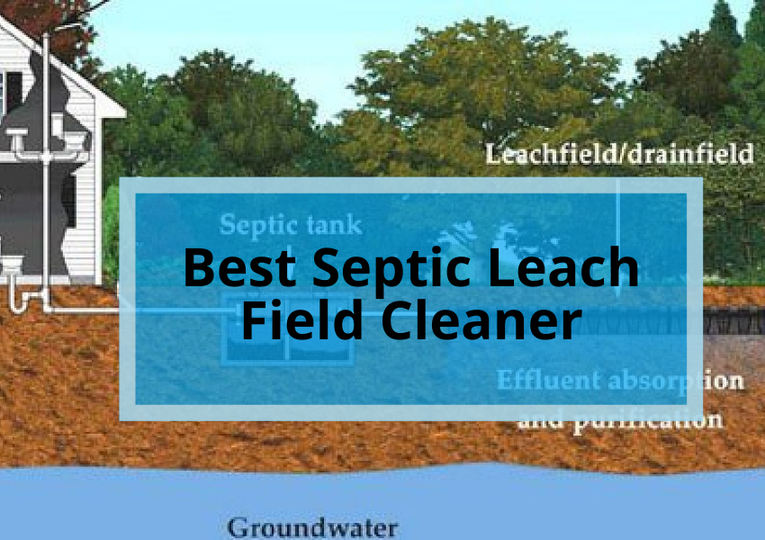 Best Septic Leach Field Cleaner