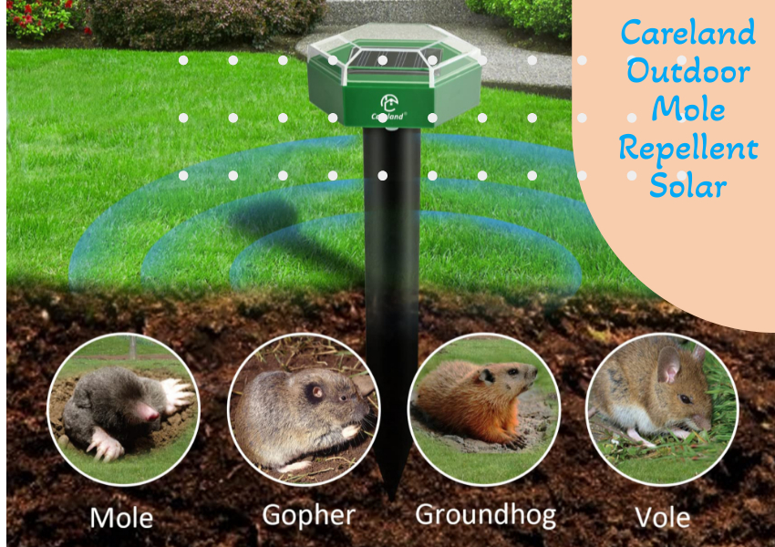 Careland Outdoor Mole Repellent Solar Powered Ultrasonic Gopher Repeller Stake Sonic Groundhog Deterrent Spike (8)