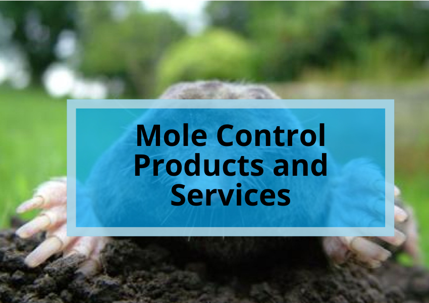Mole Control Products and Services