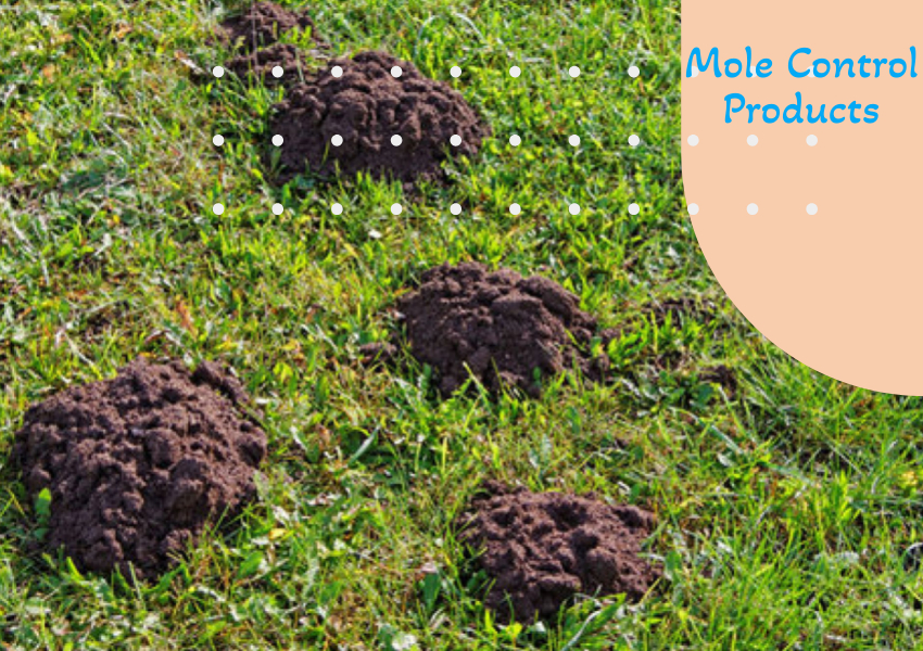 Mole Control Products