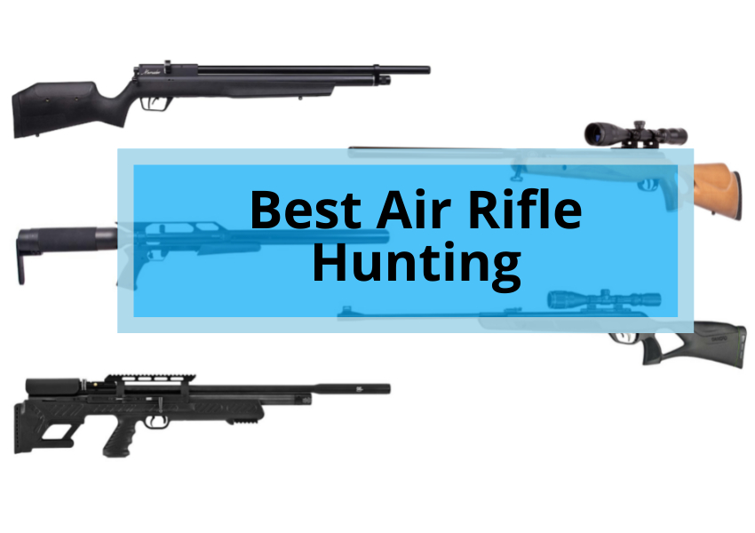 Best Air Rifle Hunting
